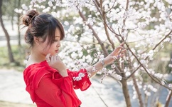 宝贝剧情分集介绍